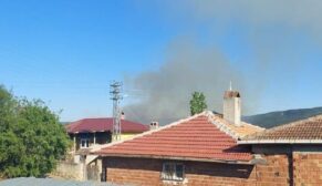 Boyabat Göve Köyü Kırsalında Orman Yangını