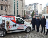 Sokak hayvanlarına ambulans