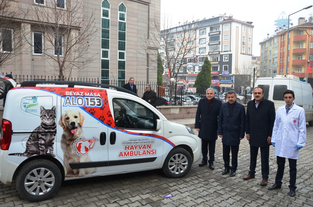 Sokak hayvanlarına ambulans