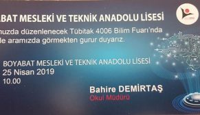 Tubitak 4006 Bilim Fuarına Davetlisiniz