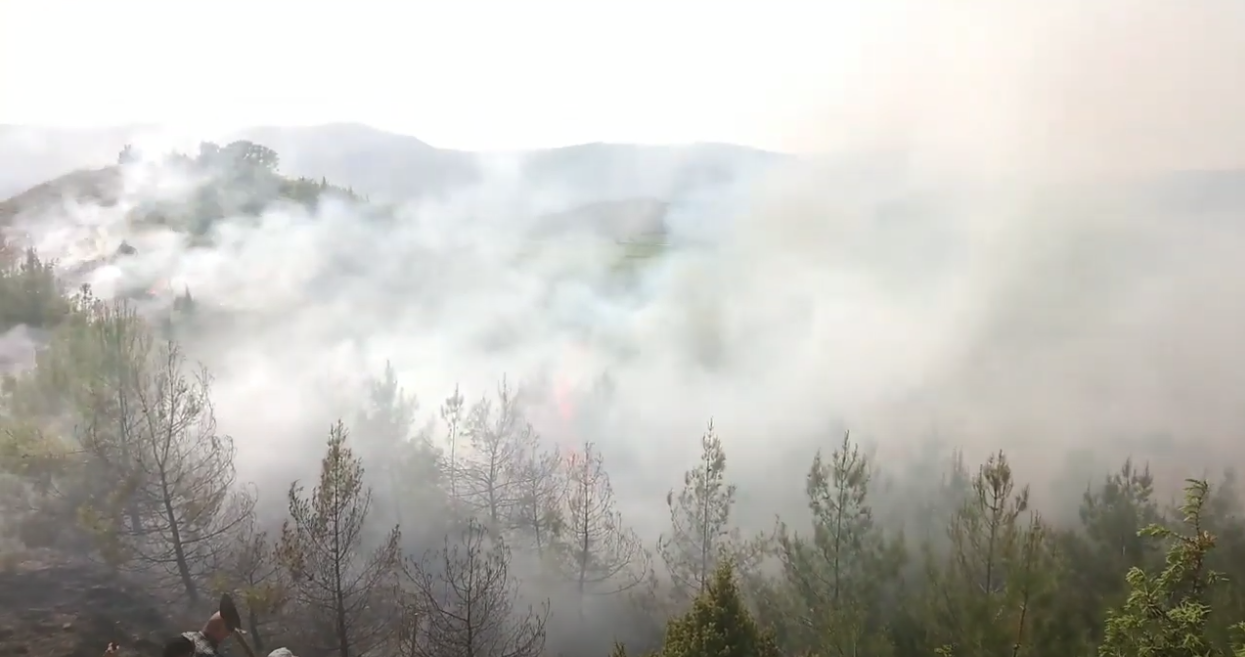 Eğlence Köyündeki Yangın Söndürüldü (Video)