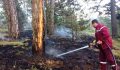 Yaylaya Yıldırım Düştü, Ormanda Yangın Çıktı