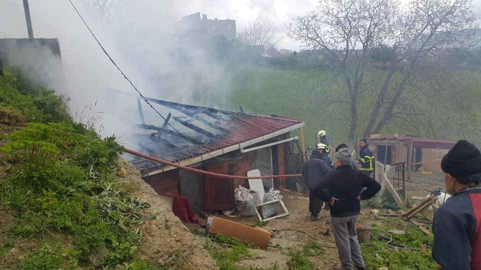 Yangında Büyükbaş Hayvanlar Telef Oldu