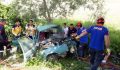 Sinop Erfelek Yolunda Feci Trafik Kazası, 4 Ağır Yaralı