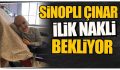 Sinoplu Çınar, ilik nakli bekliyor