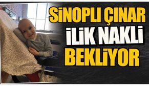 Sinoplu Çınar, ilik nakli bekliyor