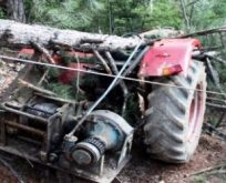 Köyde Traktörün Üstüne Ağaç Devrildi